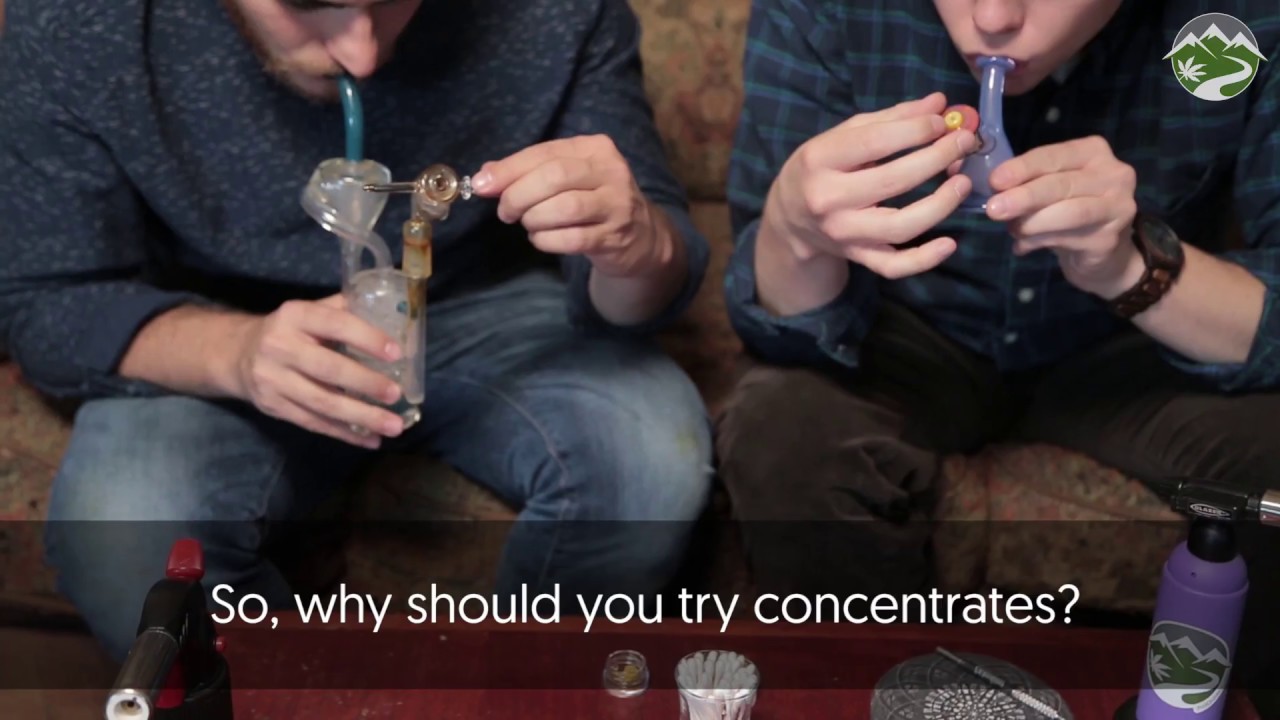 4 Reasons to Try Concentrates