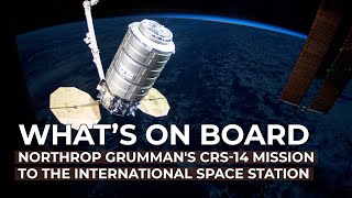 Northrop Grummans Crs-14 Mission To The International Space Station Whats On Board