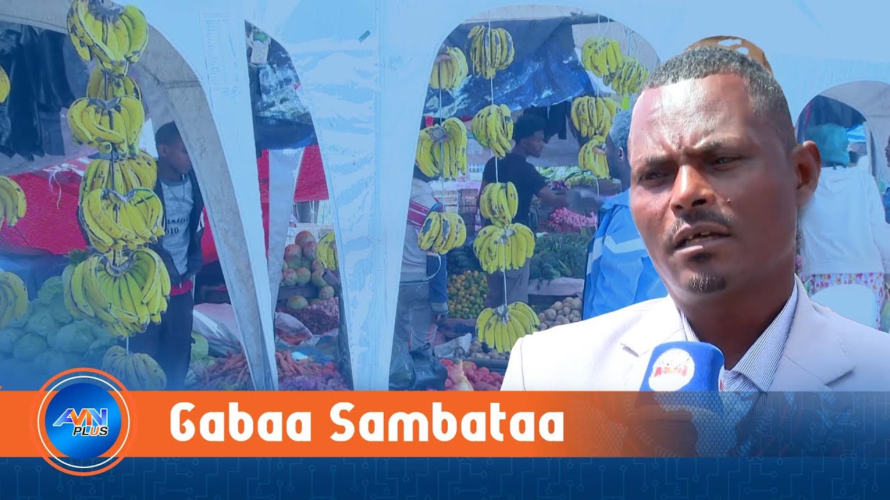 Gabaan Sambataa Hundaa’uusaan Dhiheenyatti Waan Feene Arganna