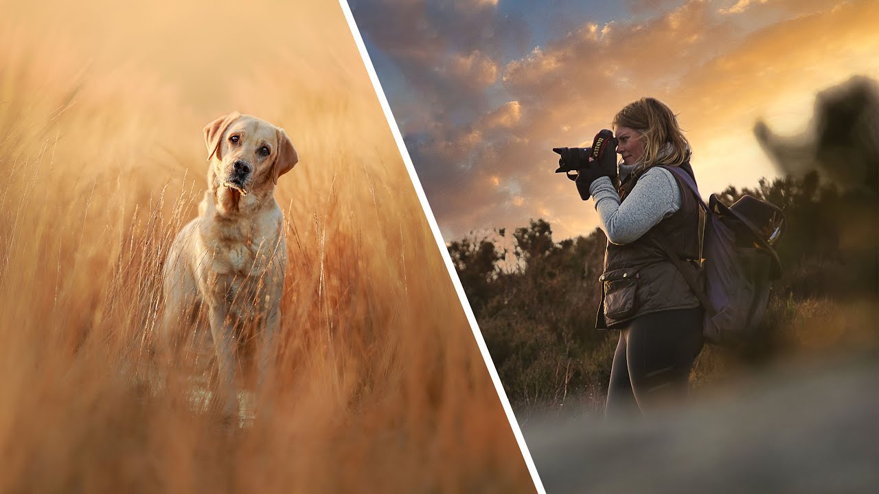 DOG PHOTOGRAPHY in 3 Minutes ft. Award-winning Photographer Alice Loder
