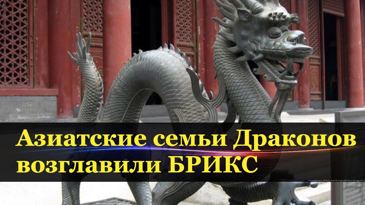 Дракон лесной новогвинейский: загадочное создание тропиков