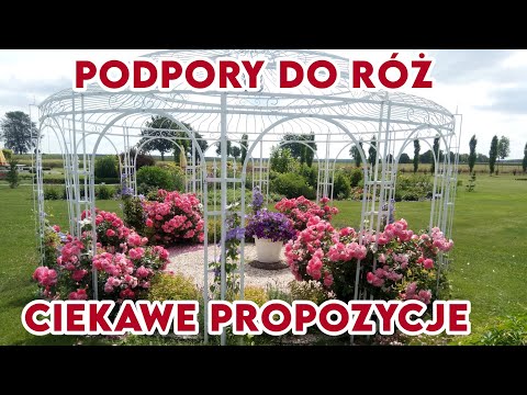 Wideo: Jaka broń dla rozarii?