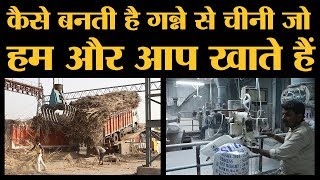 Making of Sugar | “The Lallantop” पर देखिए कि चीनी कैसे बनती है | Baghpat | Sugarcane | Sugar