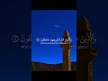 Al mu’minun 1-6  ♥️🕌 #islam #surah #muminun