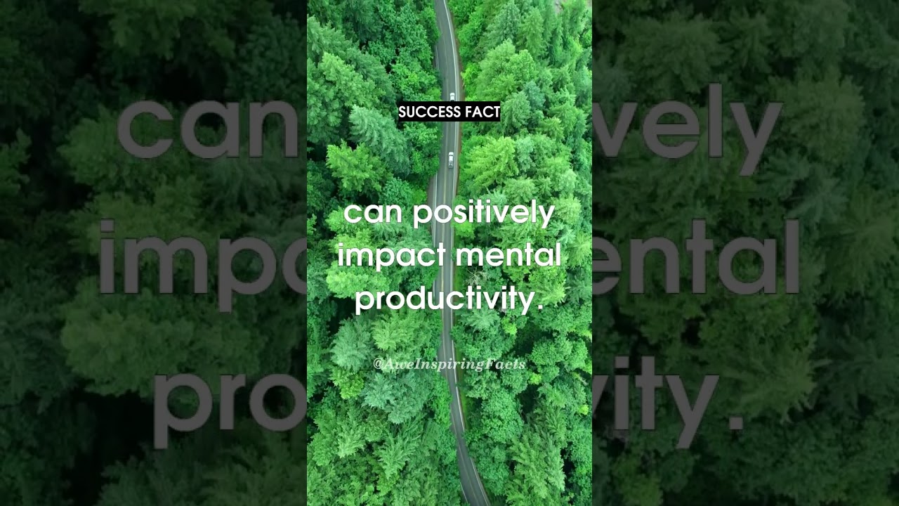 Boost Mental Productivity: Creating a Peaceful and Organized Environment