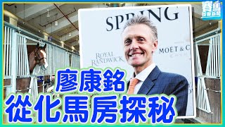 【#賽馬娛樂新聞】 24\/25 #3 廖康銘從化馬房揭秘🔍