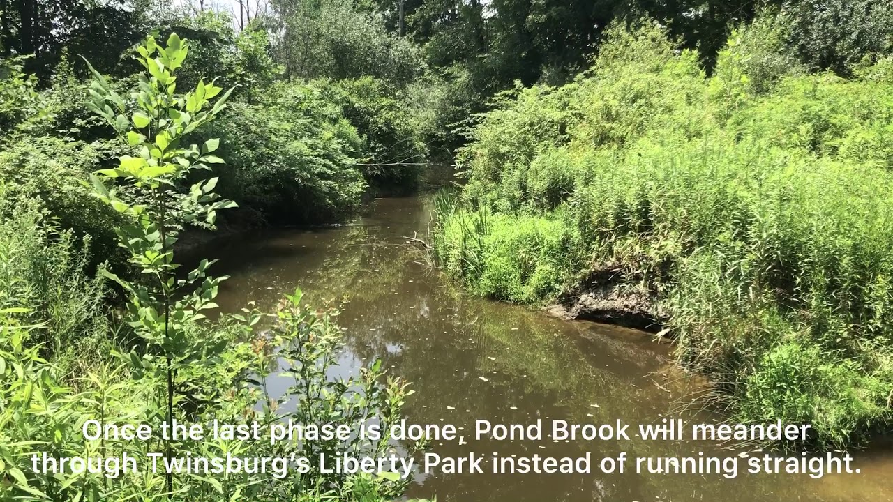 Pond Brook restoration project at Liberty Park YouTube