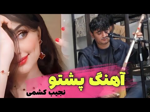 دمبوره دیوانگان نجیب کشمی آهنگ پشتو