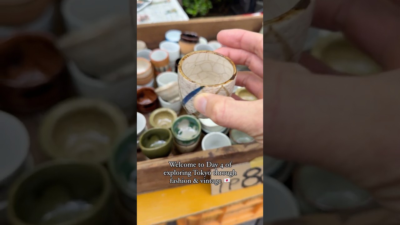 The most epic find at the Tokyo Flea Market  | Day 4 of Exploring Tokyo Through Vintage