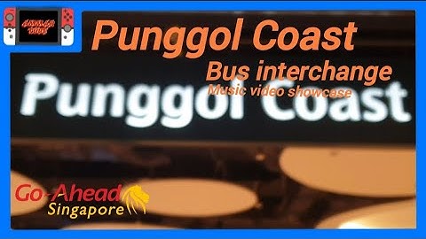 Punggol Coast Bus Interchange First day of operation music video showcase