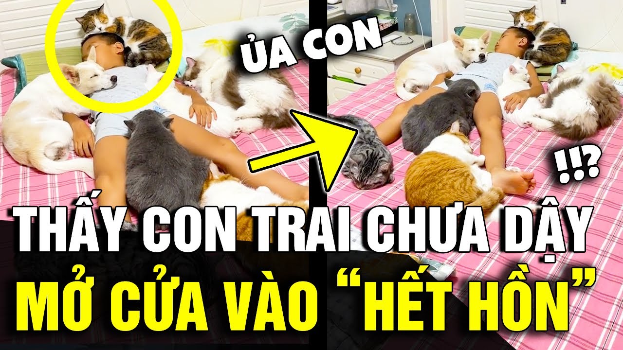 '9H SÁNG' vẫn chưa thấy con dậy, mẹ vào phòng xem thì thấy cảnh 'KHÔNG NỠ THỨC' | Tin Nhanh 3 Phút