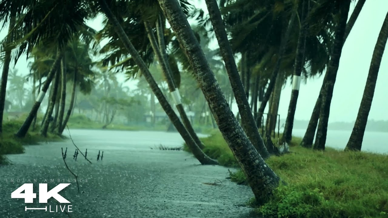 Rain and Thunder Sounds for  Relaxation| Thunderstorm Sound Effect with Rain | ASMR Sounds - No Ads