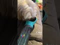 Portable Dog Water Bottle Treat Feeder And Poop Bag. Shop Here: https://www.tiktok.com/t/ZT8bUu3nE/