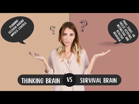 Thinking Brain Vs  Survival Brain
