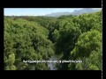Soroosh Mohjeza سروش موعجيزة YouTube mp3