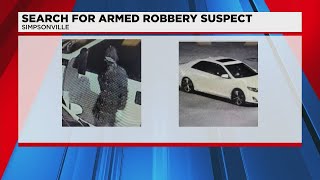 Search for armed robbery suspect