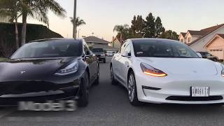 Which tesla model 3 color do you have? if don't mind sharing your
preferred of 3, that would be awesome. here's my white b...