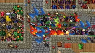 [ Middle Earth ] Bree War #2 TIBIA - BRONSON SERVER