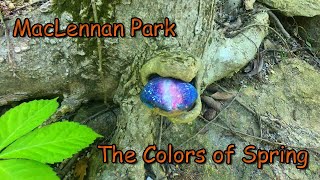 MacLennan Park in Topeka, KS : The Colors of Spring
