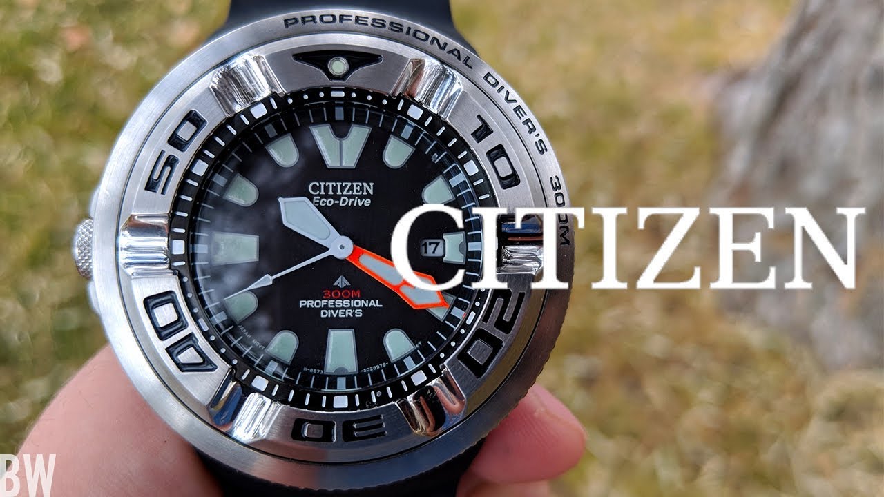 citizen ecozilla watch