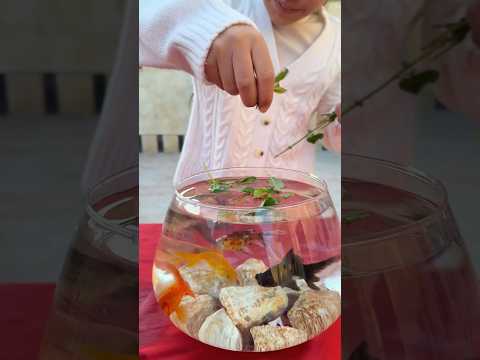 أطعمت السمك نعناع وصدمة عمو الدكتور انقذهم 3