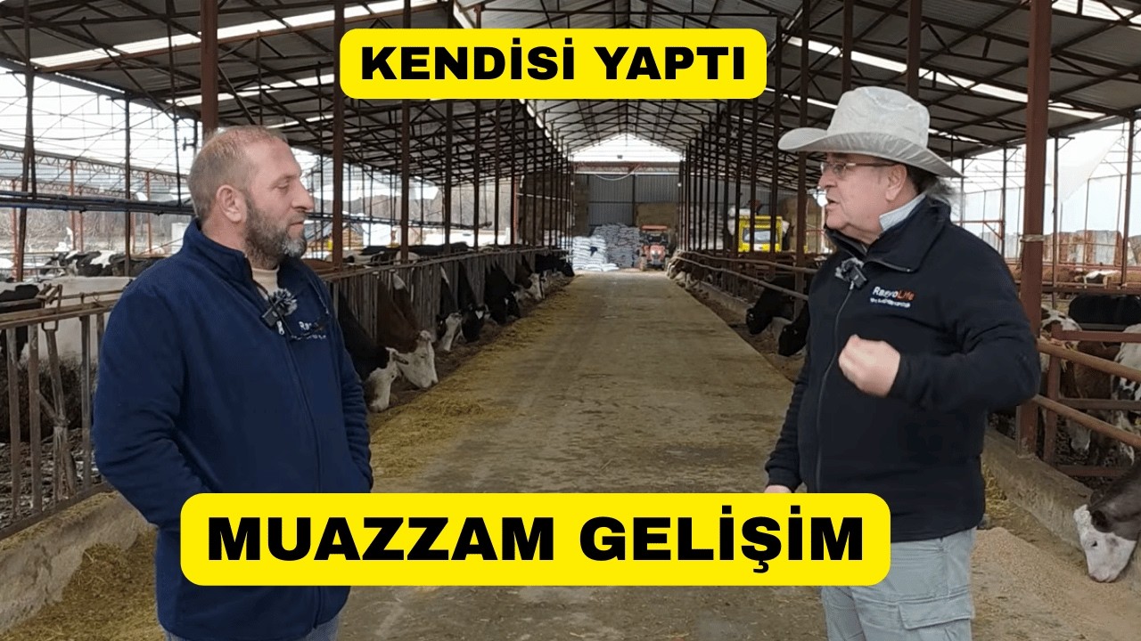 Bu Çiftlikte Rasyolife İle Muazzam Gelişim! İnşaatı Kendisi Yapıyor!