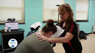 Massage Therapy