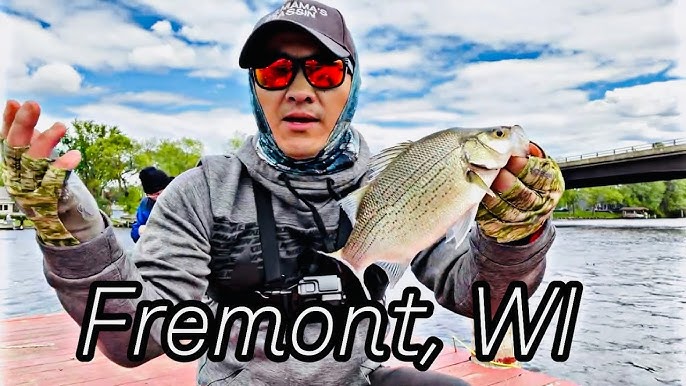 Wolf River White Bass Run 