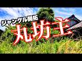 【庭じまい】荒れたお庭再生！木も草も全て伐ります