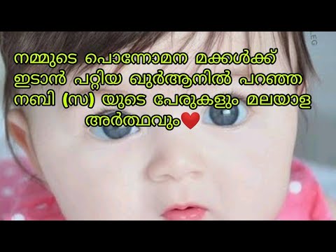 പൊന്നോമനകൾക്ക് ഇടാൻ പറ്റിയ മുഹമ്മദ് നബി (സ) യുടെ ഖുർആനിൽ പറഞ്ഞ പേരുകളും മലയാള അർത്ഥവും /