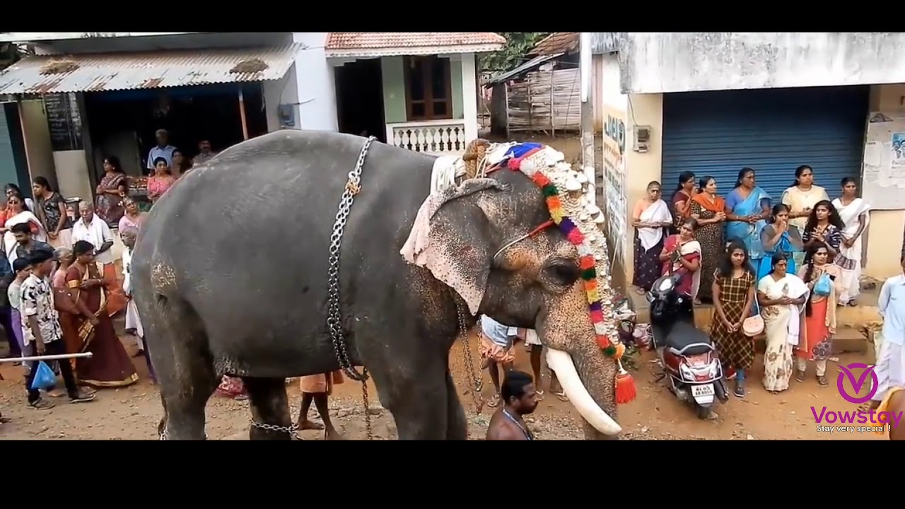 Achankovil Temple/ Kollam / Kerala/ Exploring Kollam Ep 2