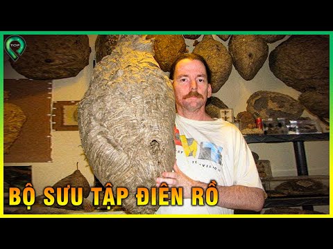 Video: Edgard Zapashny đã được ghi vào sách kỷ lục Guinness