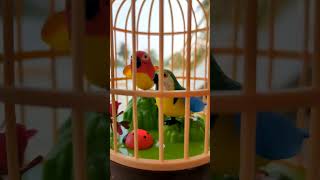 Mainan burung berkicau #burungsangkar #mainan #bermain #suaraburung #burung #kicau
