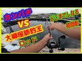 【海上釣堀】＃ころ太郎釣り日記＃雑賀崎シーパーク＃2021/07/14　カンパチとの格闘劇　どこまでしなるロッド　大郷屋脈釣王ロッド