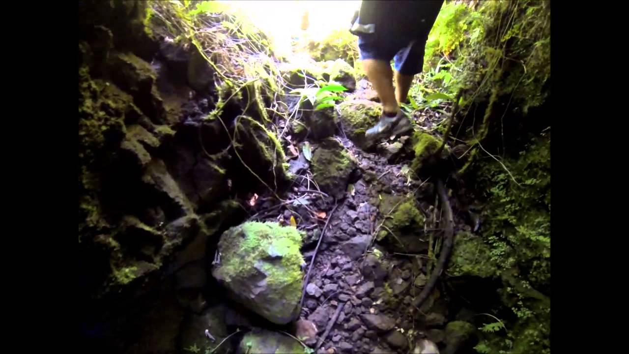 waimano upper trail (TUNNELS) YouTube