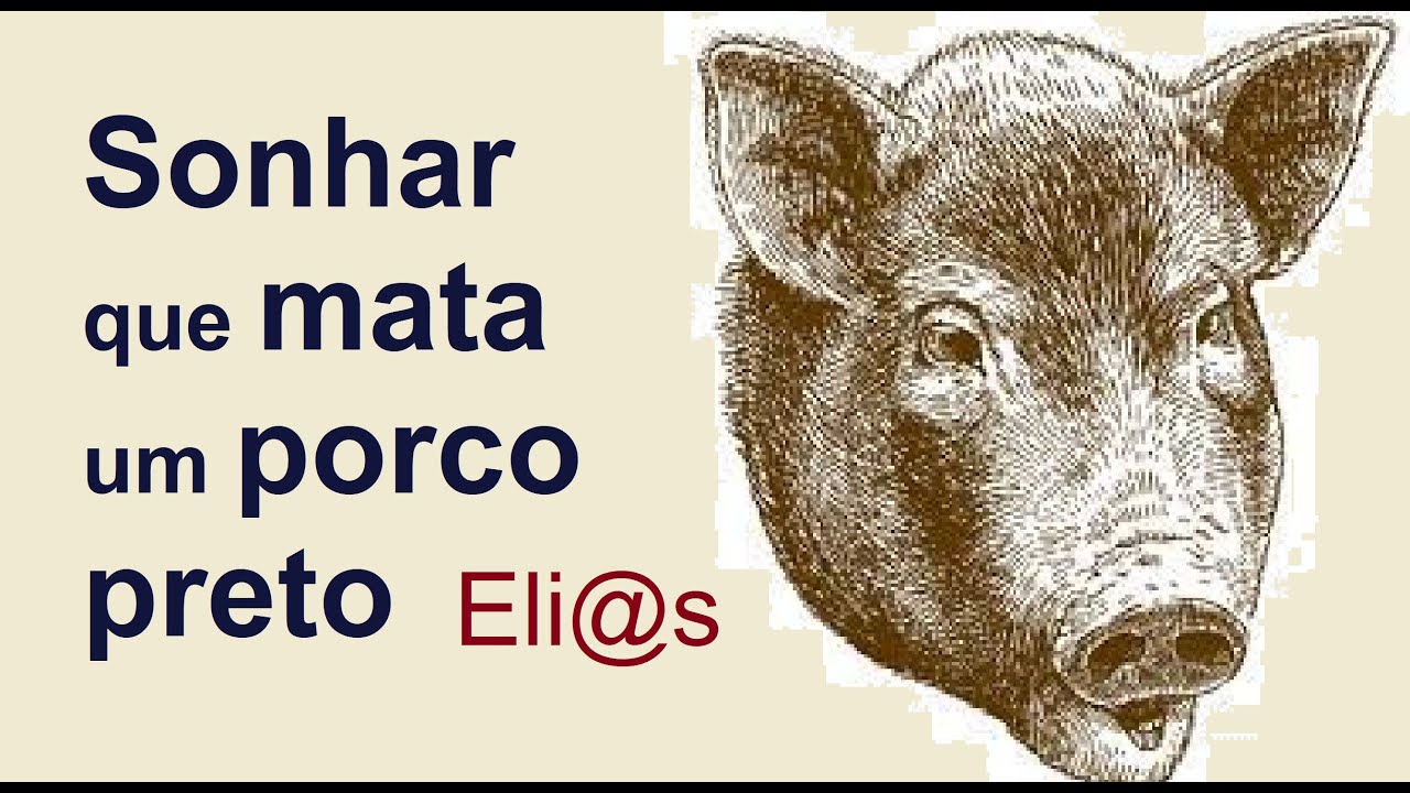 SONHAR QUE MATA UM PORCO PRETO significado - YouTube