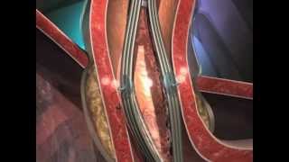 Felipe Rezende-24