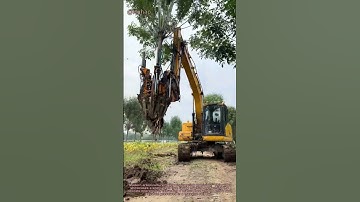 Tree Transplanting Machine: How Experts Move Mature Trees with Root Ball Intact | Arborist Tech
