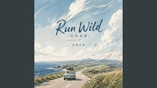 Run Wild (向风而野 伴奏) - 是晚星呀