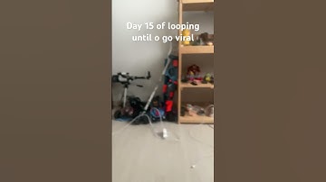 Day 15 of looping until I go viral #loop #satisfyingloop #seamlessloop #looping #loopy