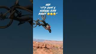 Holy cow #art #crash #funny #indie #music #newmusic #song #redbull #tuff #sigma