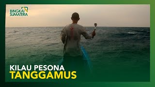 KILAU PESONA TANGGAMUS | Bingkai Sumatera