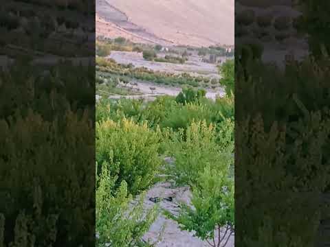 إذا قل رزقك وضاق حالك كرر هذه الآية العظيمة  دعاء الرزق صلوا على النبي تيك توك اكسبلور
