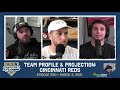 290 | Cincinnati Reds | Profile & Projection