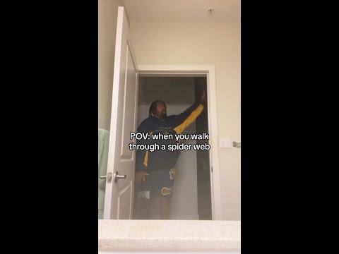 Fighting with Spider