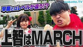 【もうやめて】「早慶上智」と言うな！MARCHレベルだろ！上智が早慶と並んでると思ってないか検証！【wakatte TV】#923