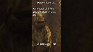 Daspletosaurus...#prehistoric #paleontology