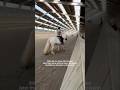 ..🙁 men skal ud og ride på asti nu ❤️🩹 #equestrianjourney #equestrian #horse #pony