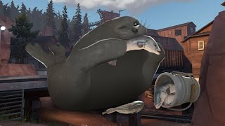 the tf2 summer 2023 update experience