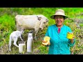 Mi hermosa MADRE preparo manjar de leche en sus vaquitas
